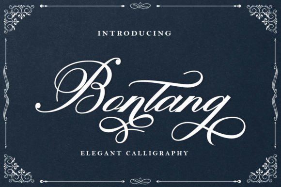 Bontang: The Dazzling Script Handwritten Font for Editorial Design