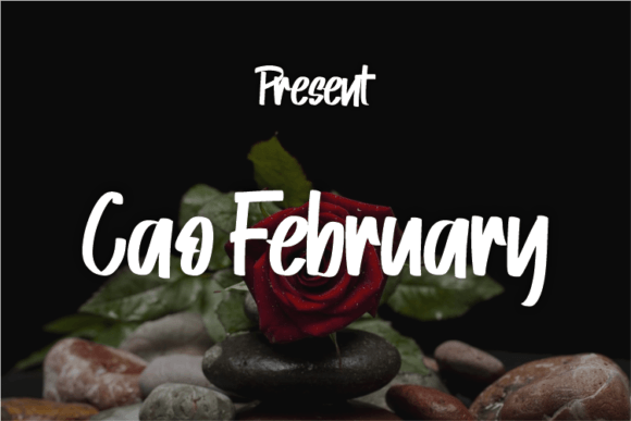 Cao February: A Modern Script Typeface for Editorial Design